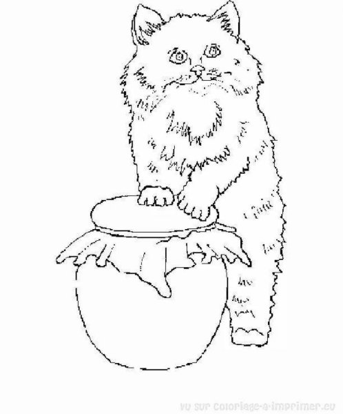 Кот ворюга раскраска