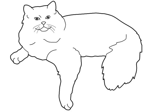 Шаблон кошки для рисования