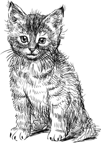 Кошка рисунок