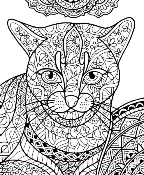 Раскраски котики сложные