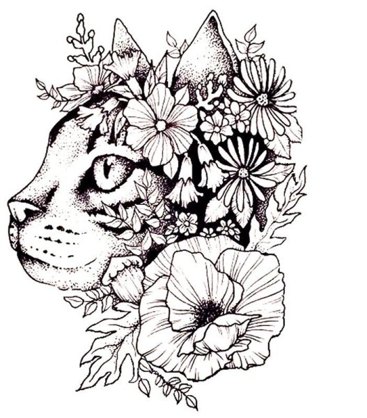 Раскраски кот с цветочками (47 фото)