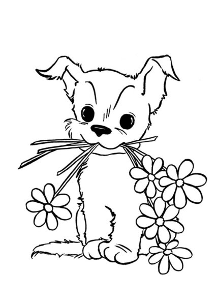 Кошки. Раскраска