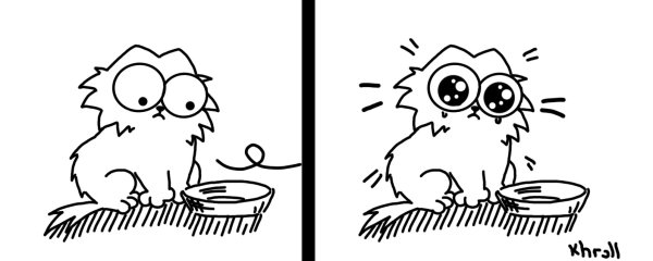 Голодный котик