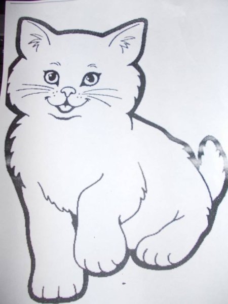 Котенок для рисования в младшей группе