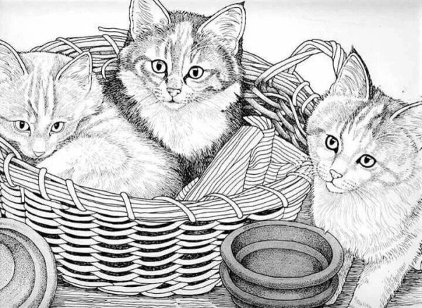 Раскраска котята в корзине