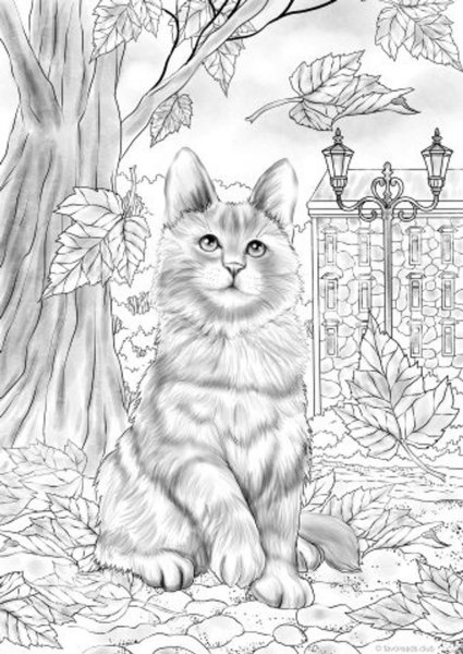Кошка раскраска реалистичная