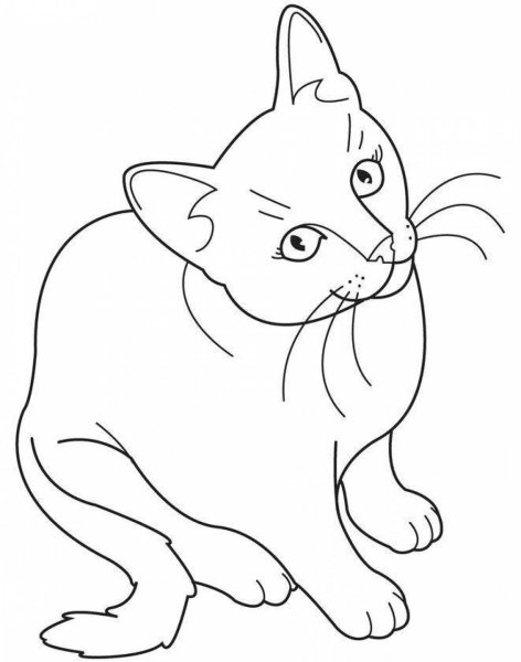 Кошки. Раскраска