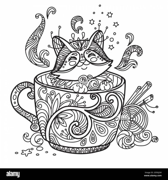 Раскраска котик в кружке