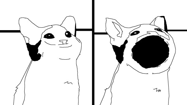 Pop Cat раскраска