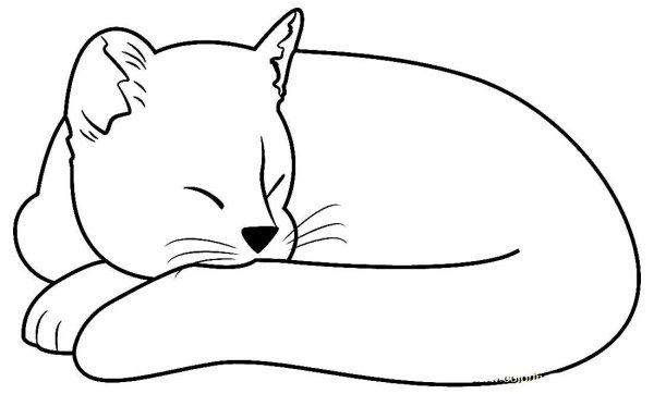 Раскраски кот спит (43 фото)