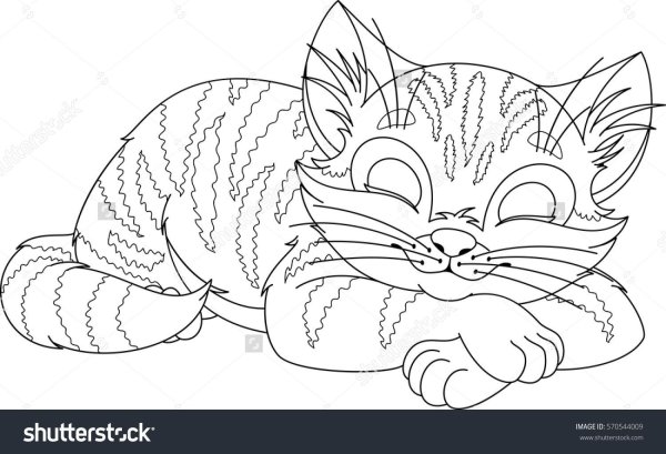 Спящий кот раскраска