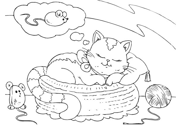 Котенок. Раскраска