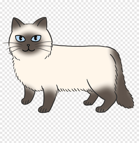 Сиамская кошка и дети