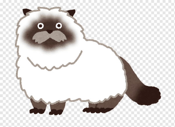 Гималайская кошка рисунок