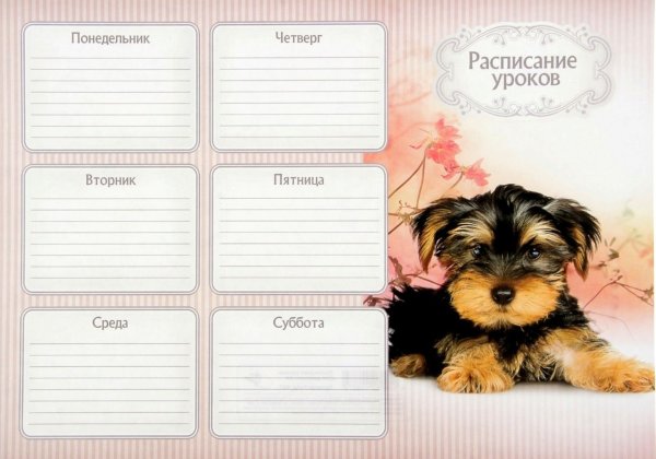 Расписание уроков с собаками