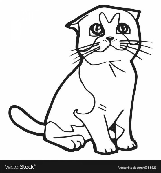 Раскраска вислоухий кот