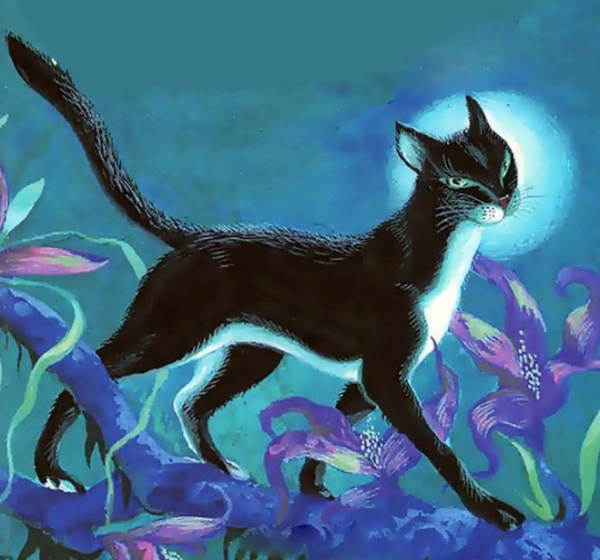 Кошка которая гуляла сама по себе