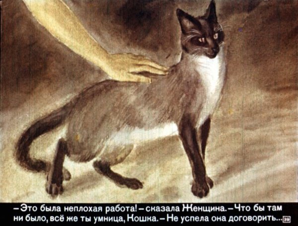 Кошка которая гуляла сама по себе иллюстрации к книге
