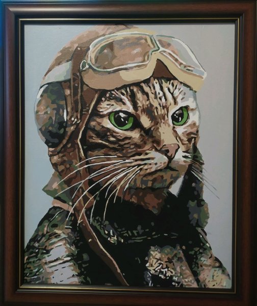 Кот в шлеме танкиста