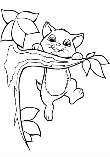 Кошки. Раскраска