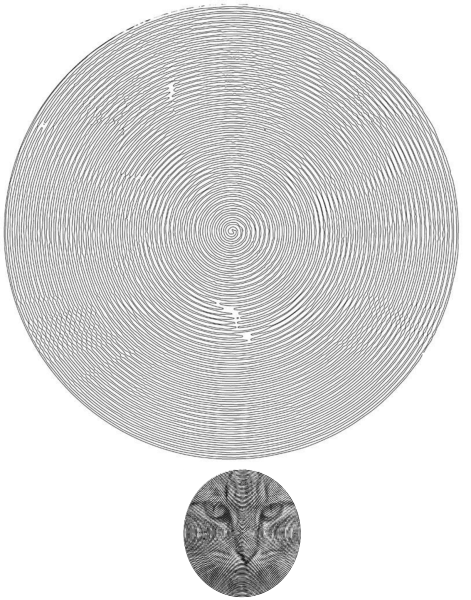 Spiroglyphics БТС