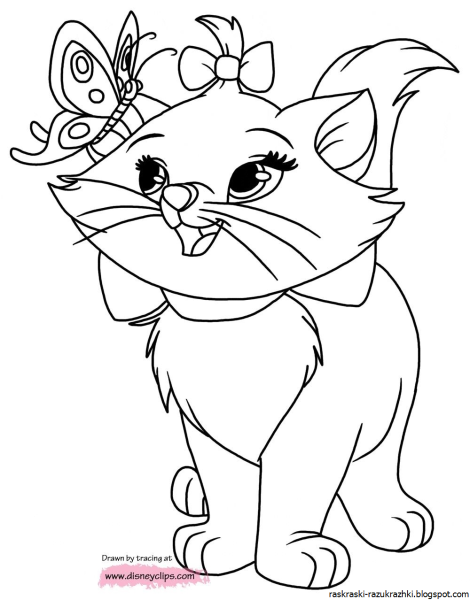 Котенок. Раскраска