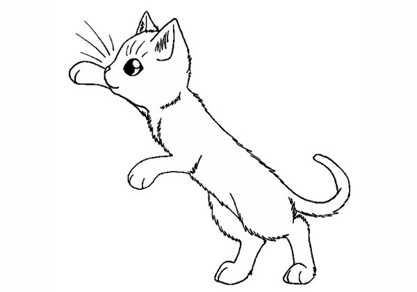 Кошки. Раскраска