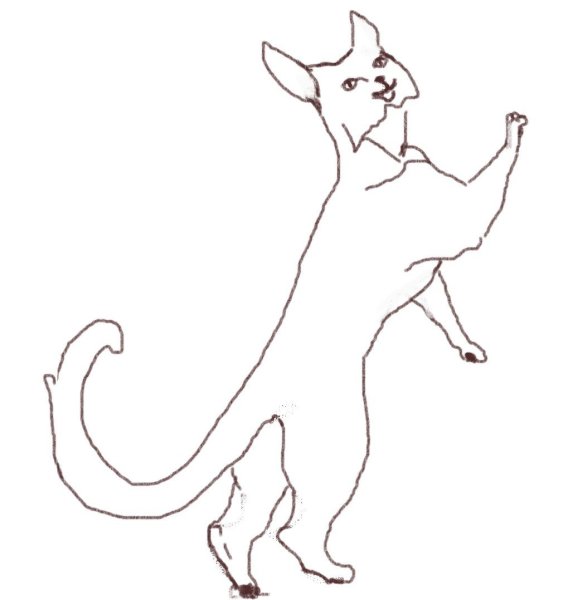 Кот на задних лапах рисунок