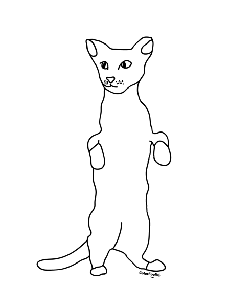 Сиамская кошка раскраска