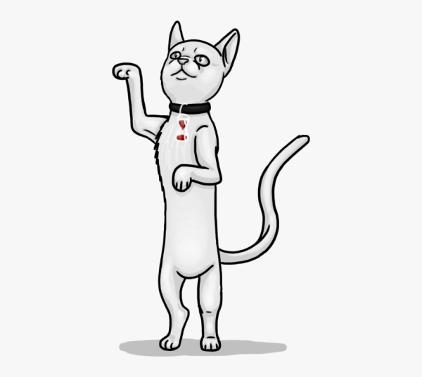 Танцующий кот на белом фоне