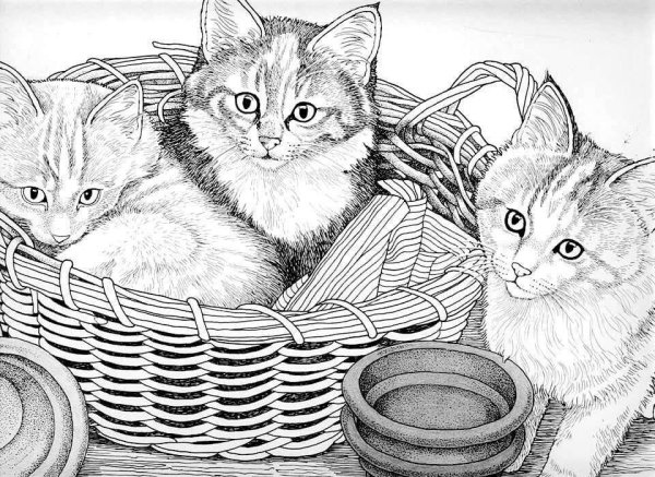 Раскраска котята в корзине