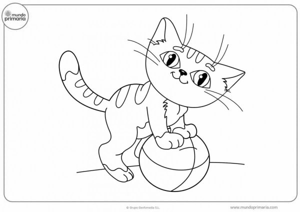 Раскраска котик с мячиком