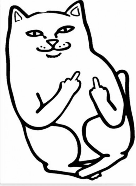 Кот с факом