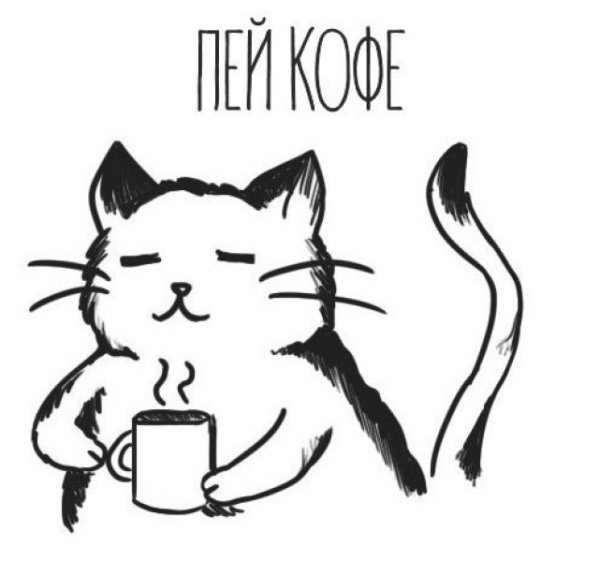 Кофе Мем с котом