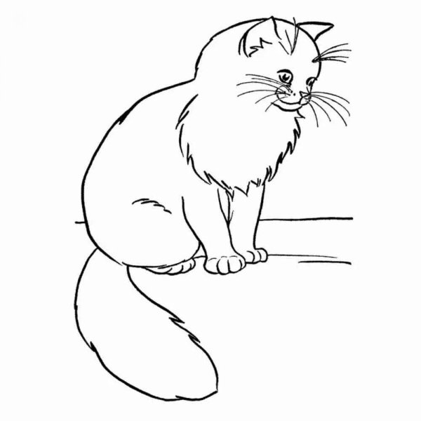 Раскраски кошка сидячая (45 фото)