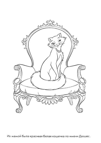 Кошка сидит на стуле