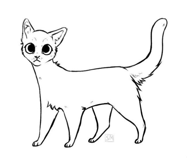 Коты Воители адопты лайн