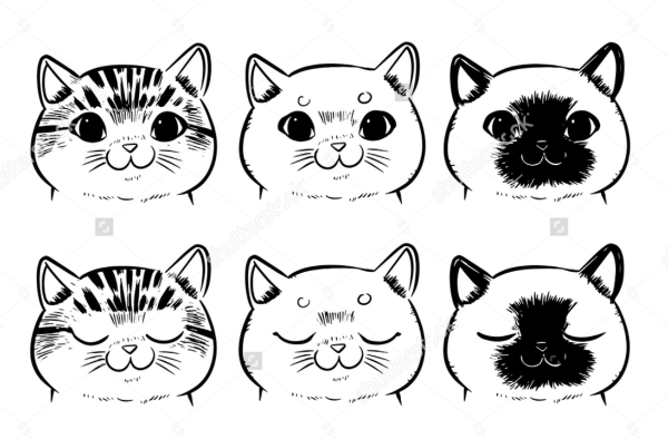 Мордочка котенка вектор