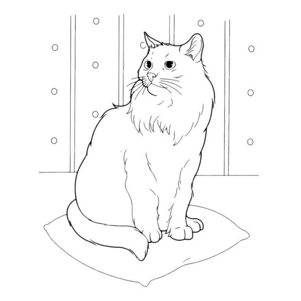 Раскраска котята в корзинке
