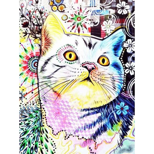 Разноцветный кот