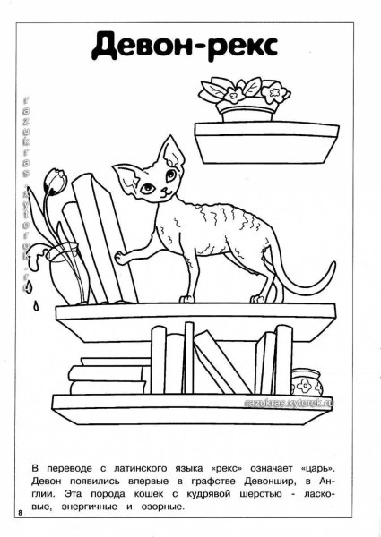 Котенок. Раскраска