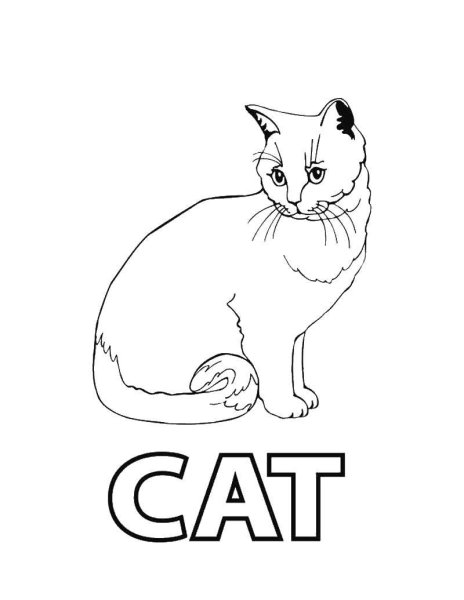 Кошки. Раскраска