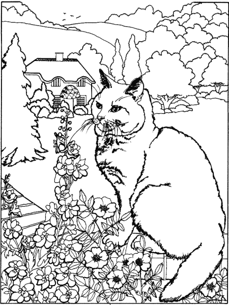 Кошка с цветочками раскраска