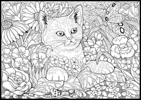 Раскраска котик с цветами