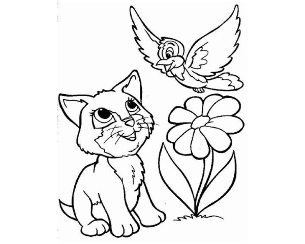 Раскраска котик с цветами