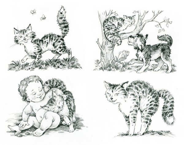 Кошка которая гуляла сама по себе раскраска