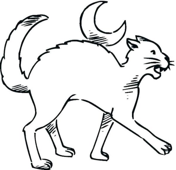 Раскраска злая кошка