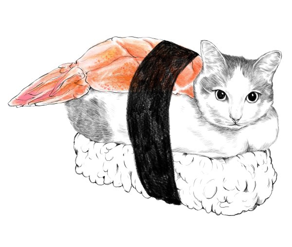 Котики и роллы