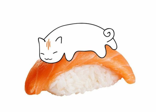 Котики и роллы