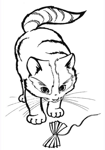 Раскраски кот с бантиком (47 фото)